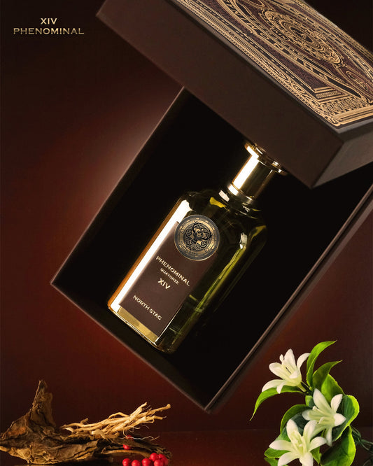 Phenominal Quatorze North Stag